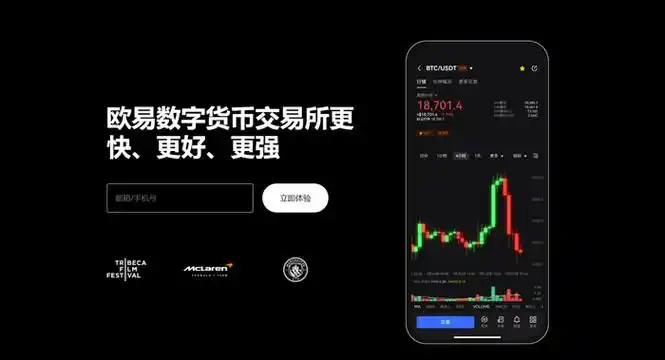 USDT交易APP平台展示图